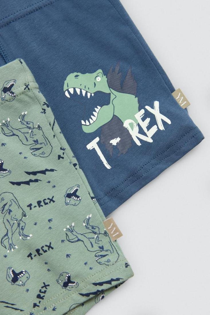 Pacote de 2 boxers infantis de algodão estampados Roar - Image 2