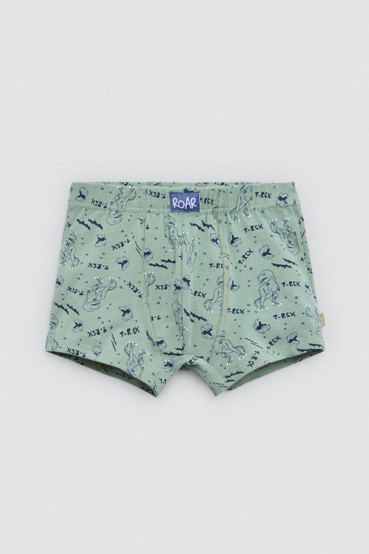 Pacote de 2 boxers infantis de algodão estampados Roar - Image 3