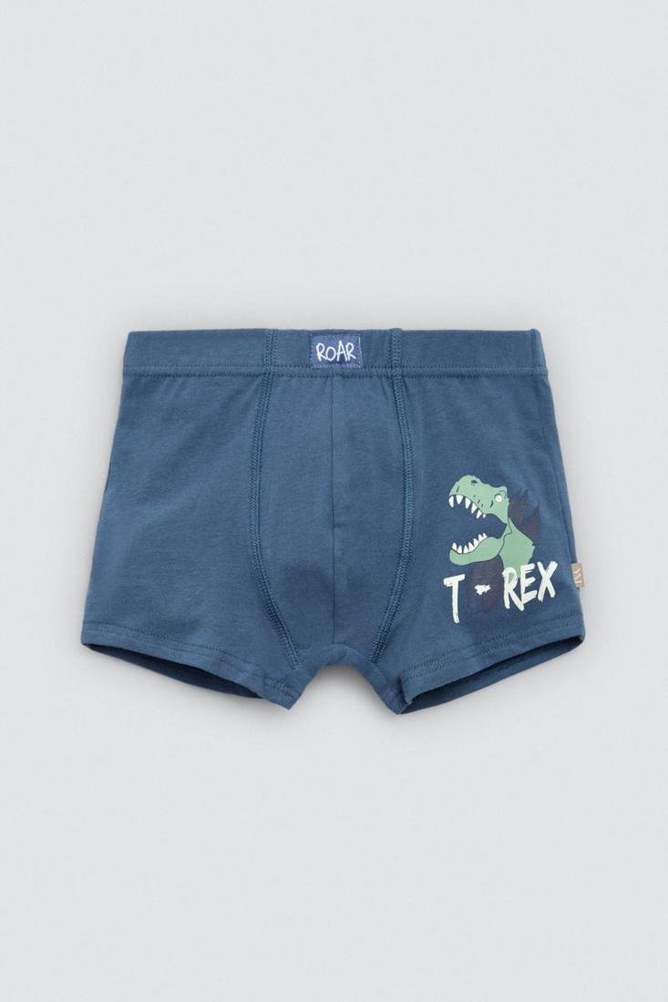 Pacote de 2 boxers infantis de algodão estampados Roar - Image 4